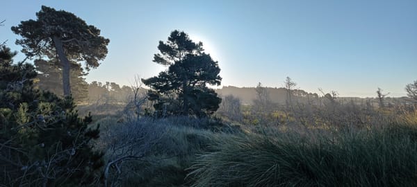 Tag 08: Ankunft in Christchurch New Zealand