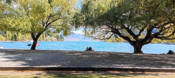 Tag 15 On Road to Queenstown