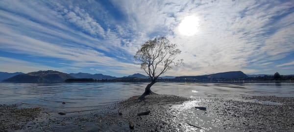 Tag 18 On Road nach Haast