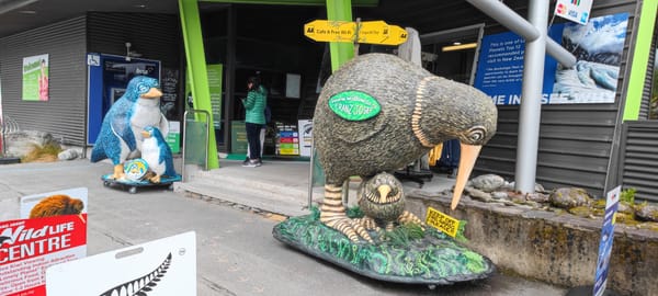 Tag 19 On Road to Franz Josef