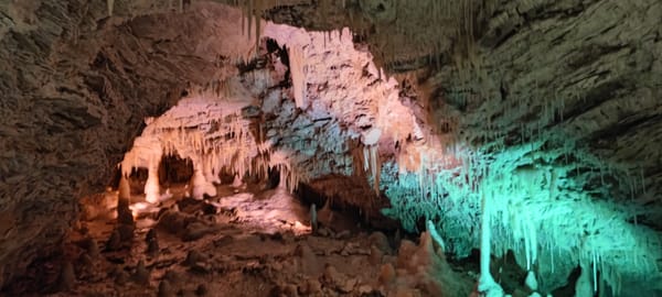 Tag 25 On Road to Whites Bay