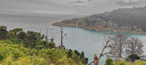 Tag 27 Black Jack Track, Piction