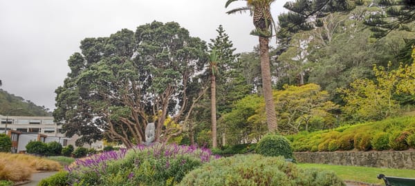 Tag 30 Stay in Wellington