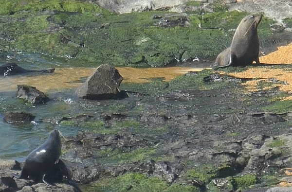 Tag 12  On Road again