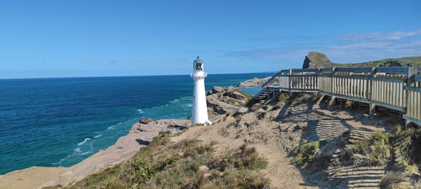 Tag 33 Castlepoint Beach/Lighthouse