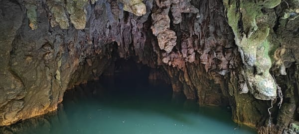 Tag 38 Stay in Waitomo