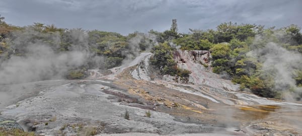 Tag 39 On Road to Rotorua