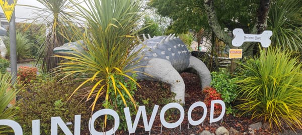 Tag 40 Stay in Rotorua