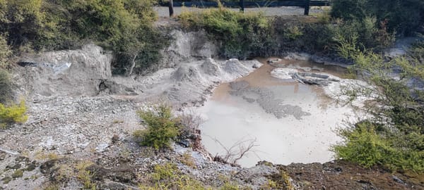 Tag 41 Stay in Rotorua