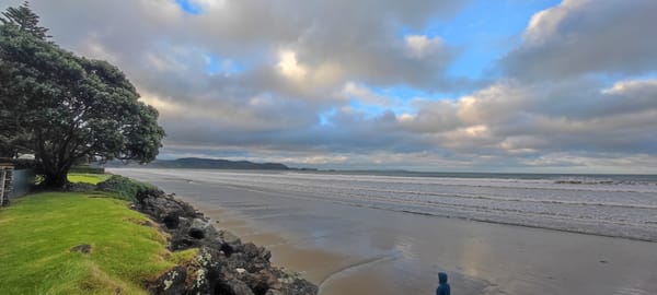 Tag 44 Cyclone Vaianu